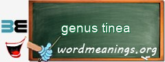 WordMeaning blackboard for genus tinea